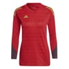 V Neck Regular Fit Long Sleeve Athletic Top