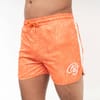 Salsola Shorts