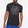 Allred T