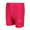 Highton Chino Shorts