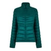 Regular Fit Down Jacket