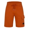 Micro Lens Fleece Shorts