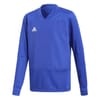 Long Sleeve V-Neck Regular Fit Sweatshirt