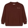 Crew Neck Regular Fit Sweatshirt