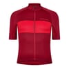 Short Sleeve Zip Neck Slim Fit Athletic Top