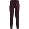 Challenger Gym Running Legging
