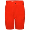Reprise II Cargo Shorts
