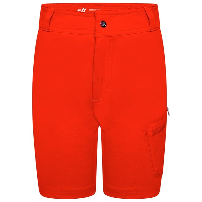 Reprise II Cargo Shorts