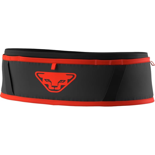 Logo Print Web Casual Belt