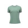 Merino T