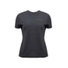 Merino T