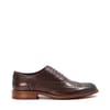 Mens Pollodium