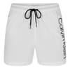 Large Logo Swim Shorts