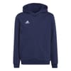 Ent22 Hoodie Juniors