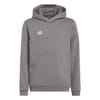 Ent22 Hoodie Juniors