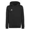 Ent22 Hoodie Juniors
