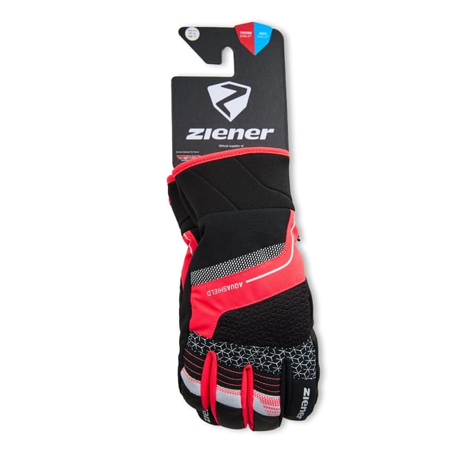 Ski Lonzalo Gloves