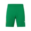 Ireland Home Short Senior 2023
