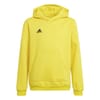 Ent22 Hoodie Juniors