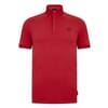 Short Sleeve Regular Fit Polo Shirt