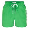 Large Logo Swim Shorts