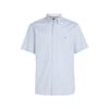 Short Sleeve Stripe Regular Fit Shirt