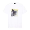 Square Zebra Regular Fit T-Shirt