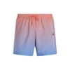 Ombre Classic Swim Short