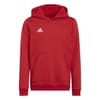 Ent22 Hoodie Juniors