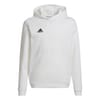 Ent22 Hoodie Juniors