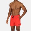 Mens Yale Swim Shorts