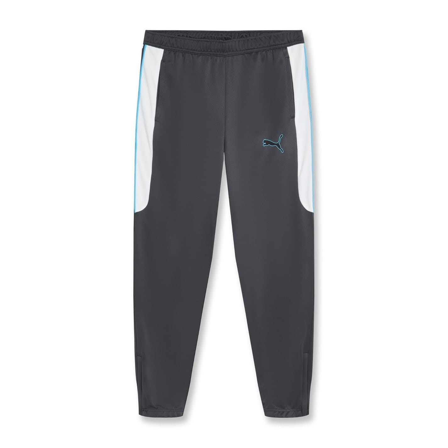 Mens puma bottoms online