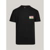 Flag Crew Neck Regular Fit T-Shirt