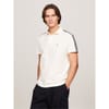 Stripe Regular Fit Polo Shirt