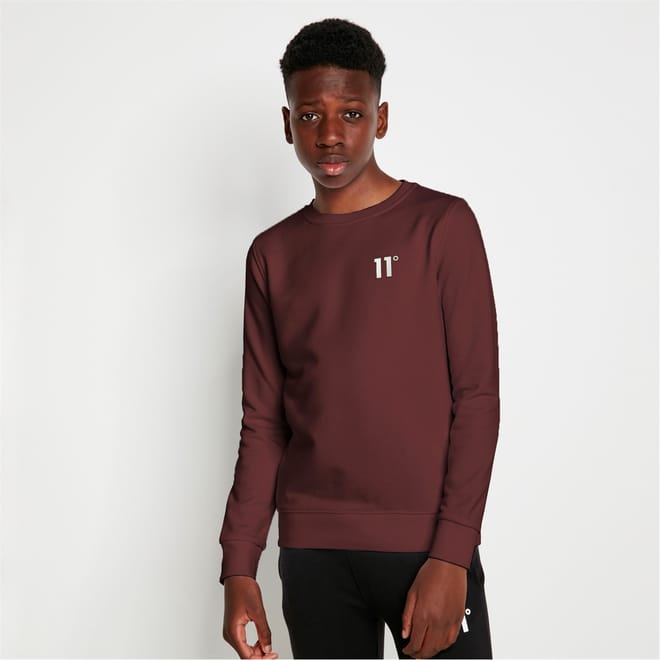 Core Crew Neck Regular Fit Sweatshirt