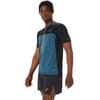 Fuji Short Sleeve Top