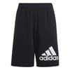 Bl Fleece Shorts Junior Boys