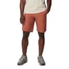 Wash Athletic Shorts