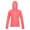 Hooded Regular Fit Long Sleeve Sweatshirt