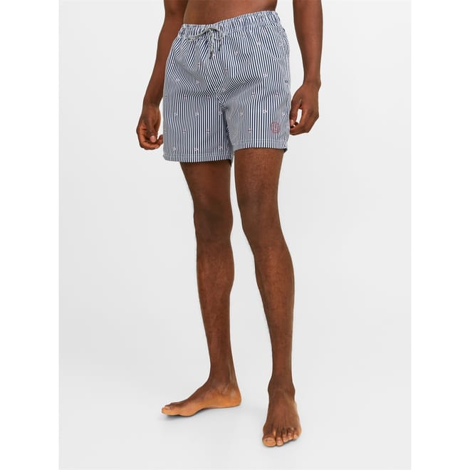 Fiji Stripe Swim Shorts