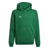 Ent22 Hoodie Juniors