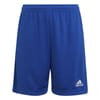 Ent22 Shorts Juniors