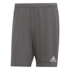 Mens Entrada 22 Shorts