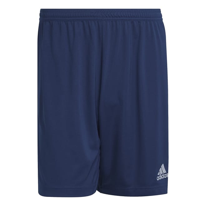 Mens Entrada 22 Shorts