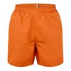 Mens Swim Shorts