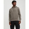 Star Hooded Regular Fit Sweatshirt
