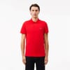 Sports Regular Fit Short Sleeve Shirt