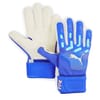 Future Match Goalkeeper Glove