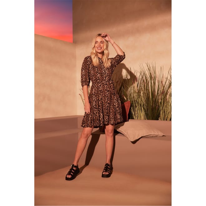 Leopard Print V-Neck Shirtdress