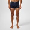 Pack Trunks